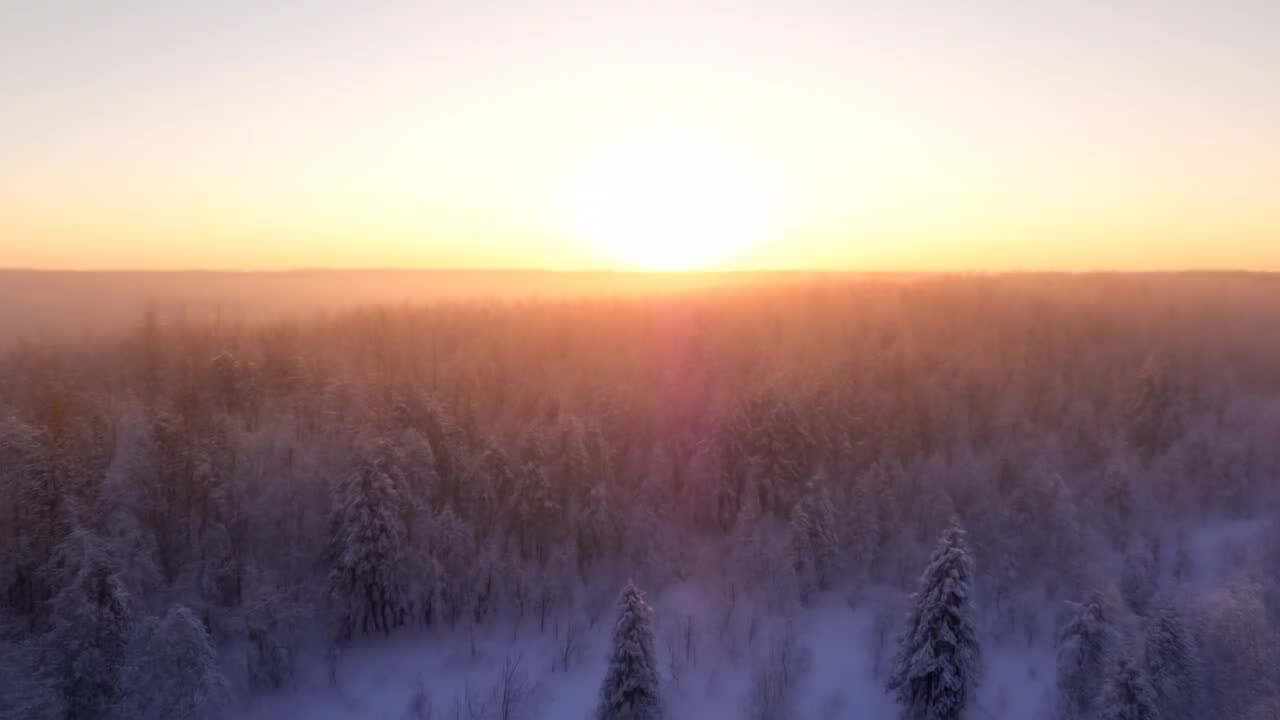 Generated video preview